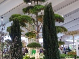 Messe Tulln am 27.03.2025